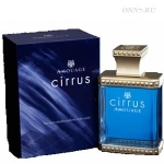 Туалетная вода Amouage Cirrus
