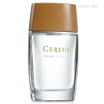Туалетная вода Cereus Cereus 4