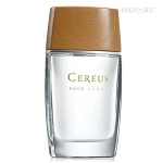 Туалетная вода Cereus Cereus 5