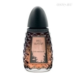 Туалетная вода Pino Silvestre Oud Absolute